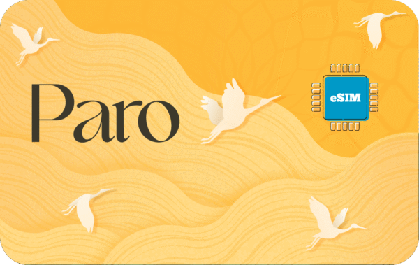 Paro 2 GB - 15 Días