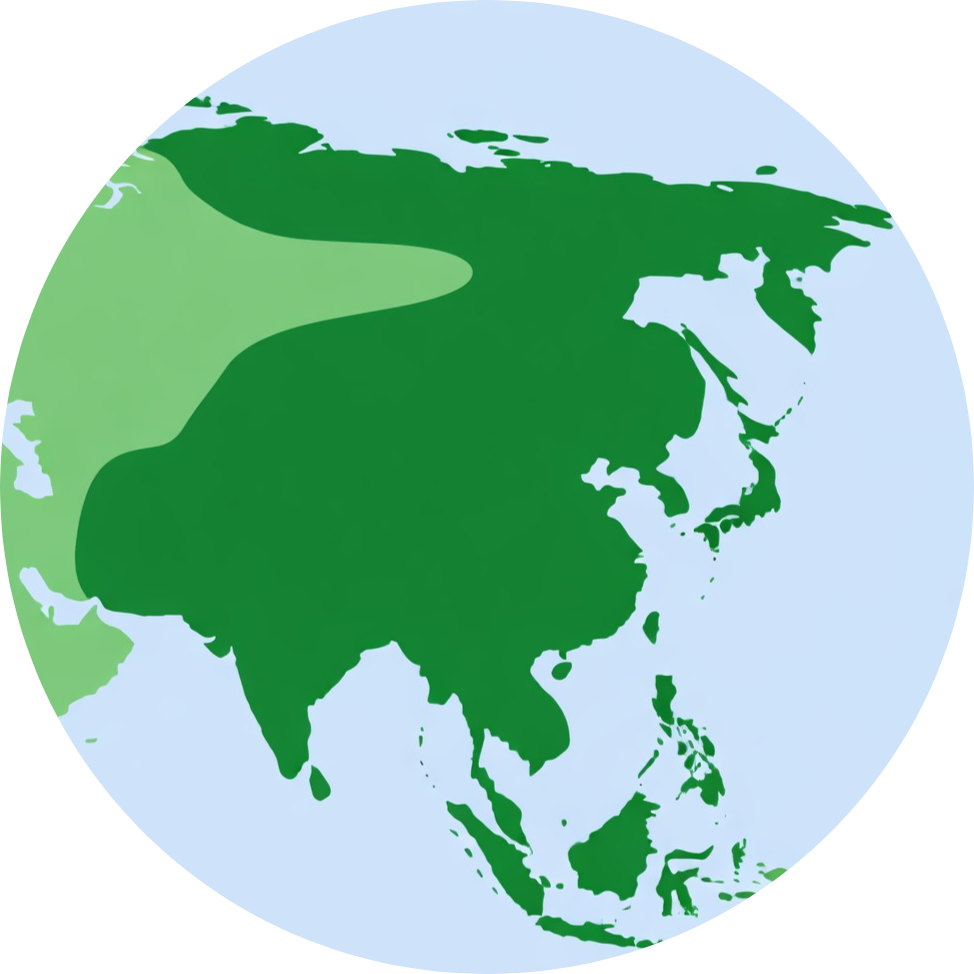 Asia